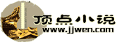 顶点小说阅读网
