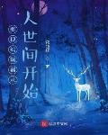 影视编辑器最新章节列表,影视编辑器全文阅读