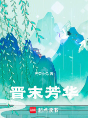 晋末芳华最新章节列表,晋末芳华全文阅读